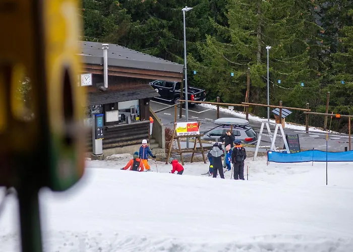 Cosy On The Slopes Gryon